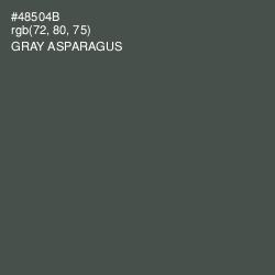#48504B - Gray Asparagus Color Image